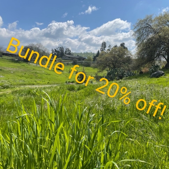 Meet your Posher, Julz - Picture 2 of 2